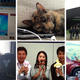 Illustration for article titled My Gaming Year In 31 iPhone Photos
